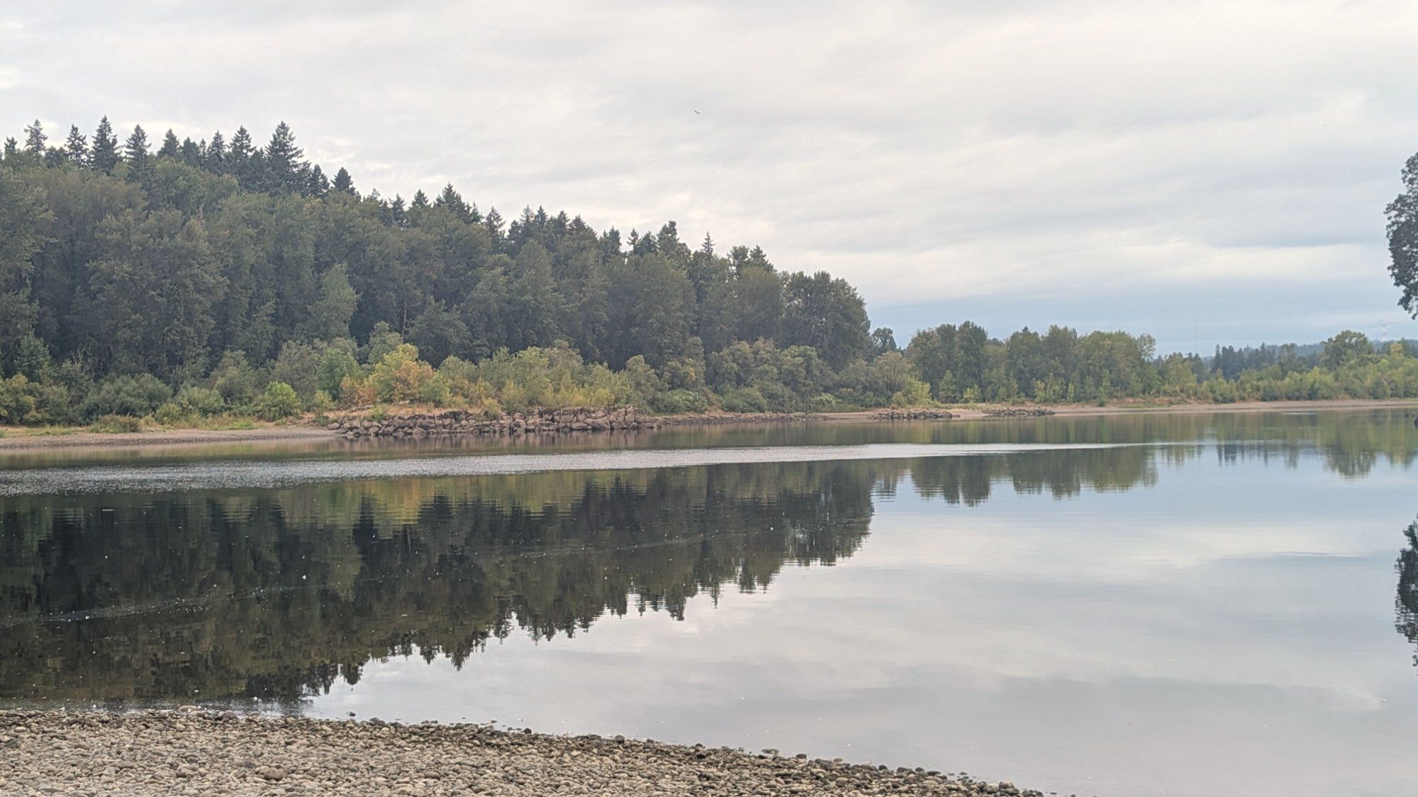 A calm Oregon river reflecting the evergreen shoreline