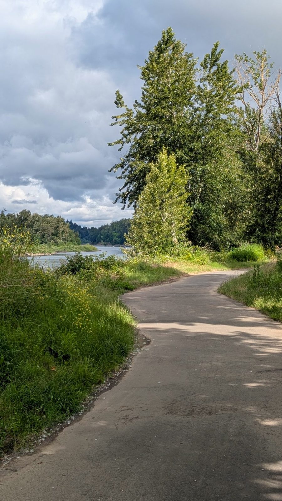 A winding riverside path under tall trees